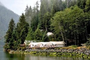 glamping tents at clayoquot wilderness resort