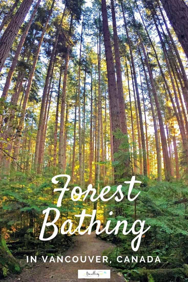 Forest bathing in Vancouver is easy and accessible to health conscious travellers. All you need is a pair of walking shoes and desire to get back to nature. | #forestbathing #vancouver #nature #explorebc #canada 