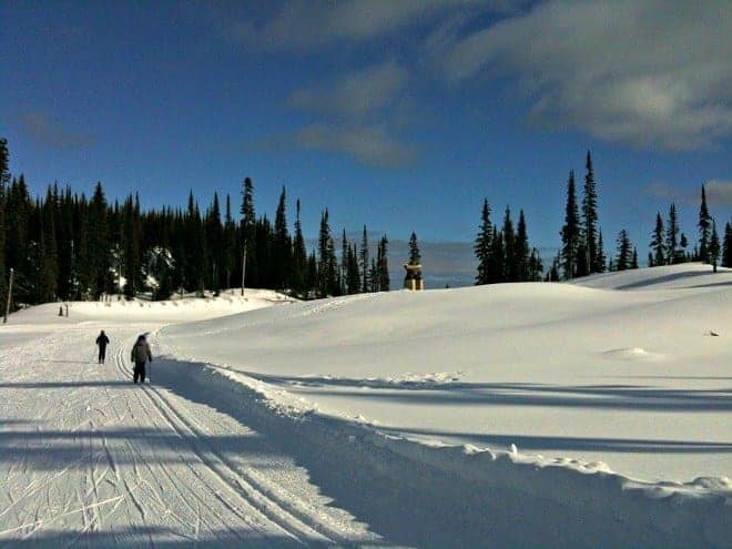 Located high above British Columbia's Okanagan Valley, Silver Star is a ski destination that caters to families and offers gold medal fun for all ages. (via thetravellingmom.ca)