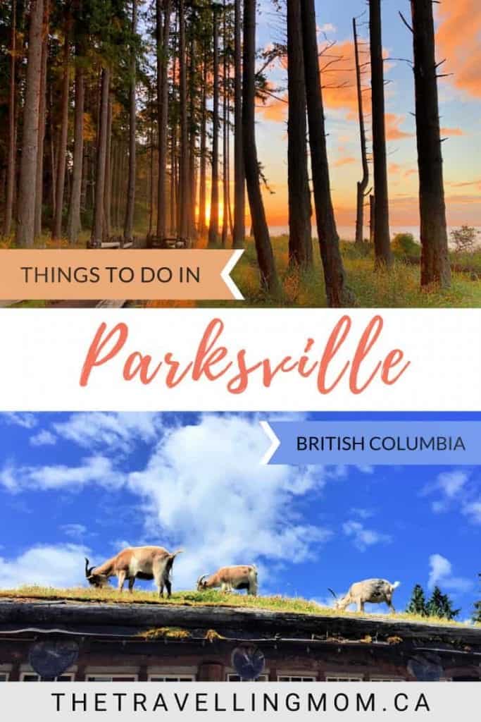 things to do in parksville with kids