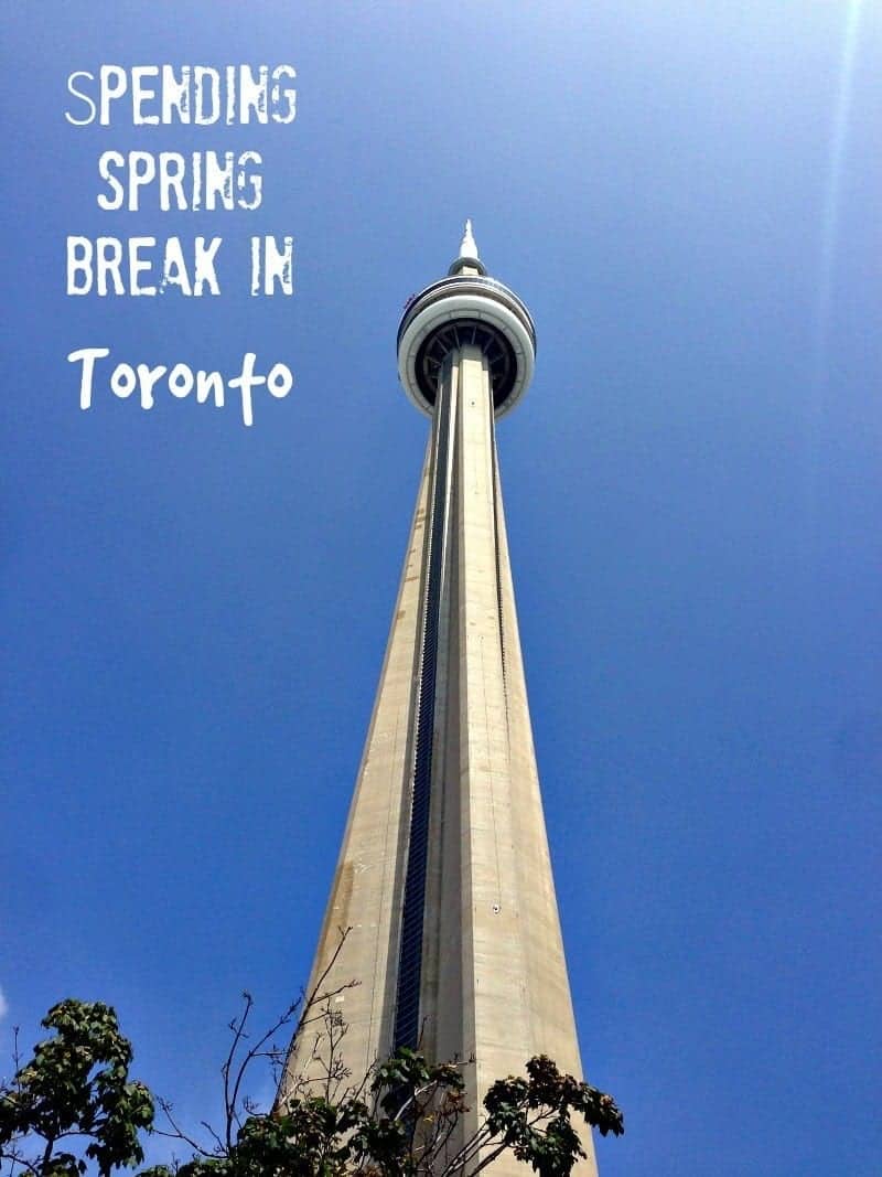 Spring Break in Toronto