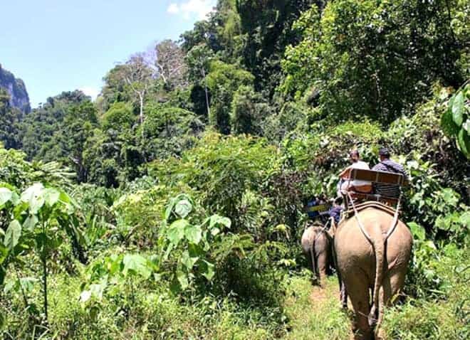 Travel off the beaten path in Thailand. Consider a farmstay holiday with your family and enjoy an unforgettable travel adventure. (via thetravellingmom.ca)