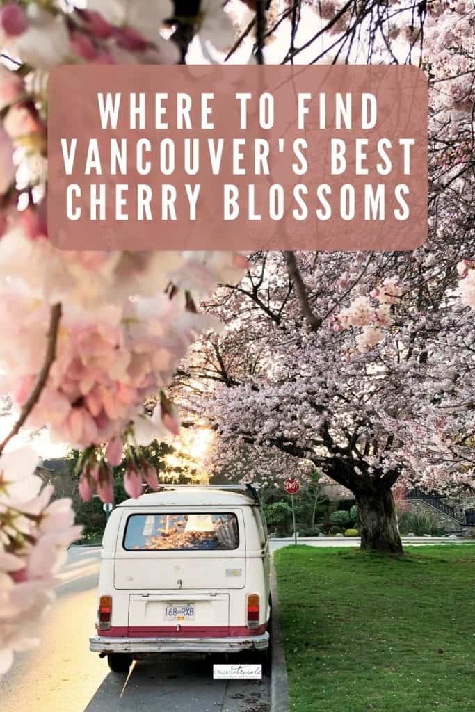 white van with cherry blossoms