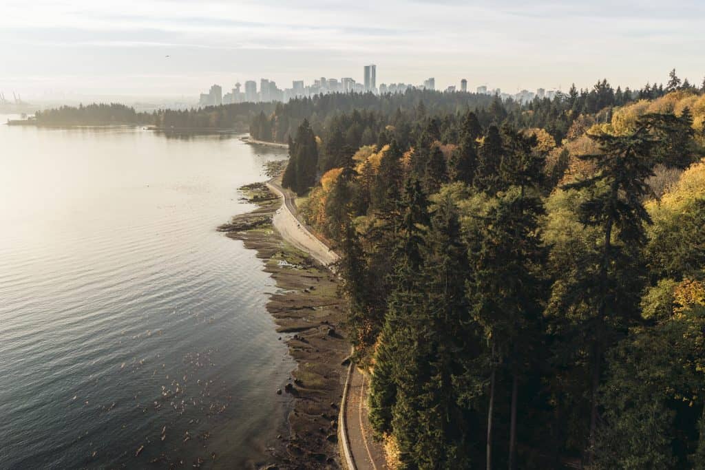 view of Stanley park from above with mist