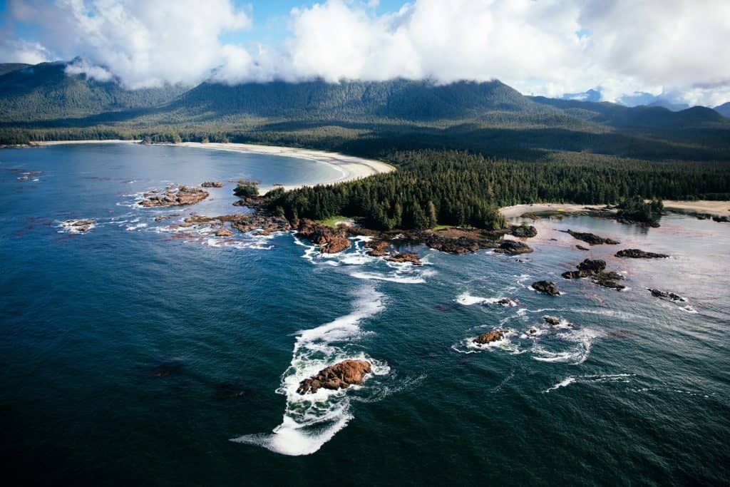 high view of tofino hiking trails and ocean