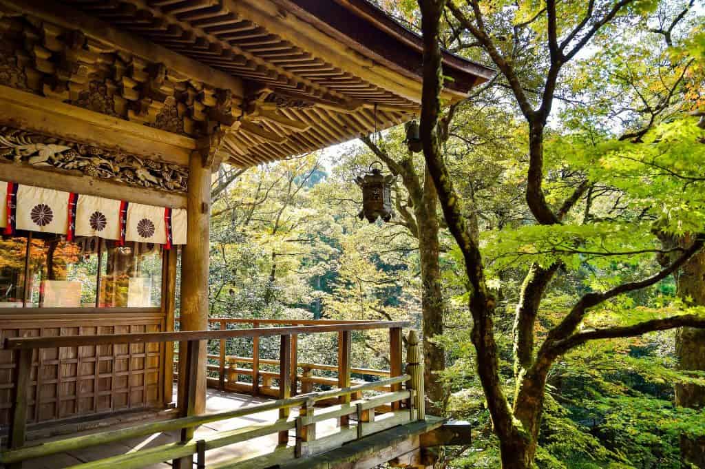 japanese temple and green tree