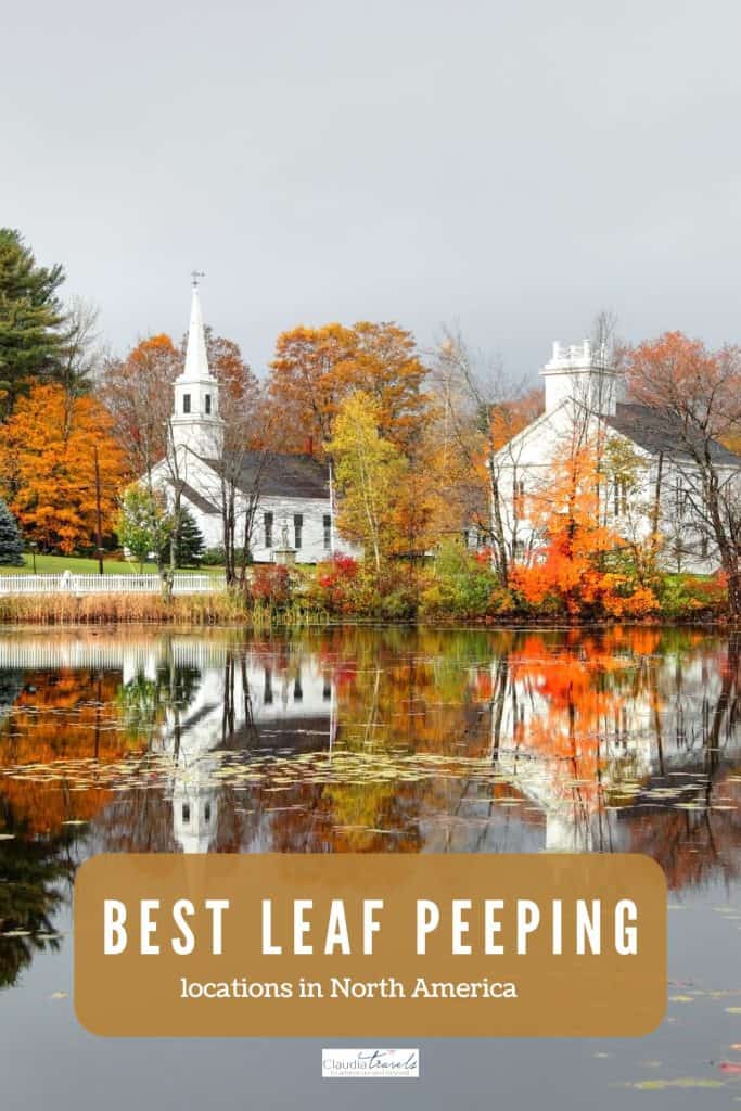 changing leaves in New England