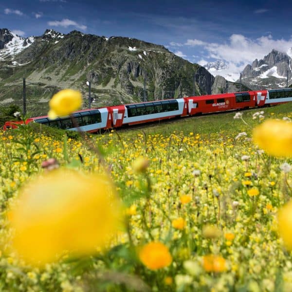 Let’s use the SBB Swiss Travel Pass! A handy guide to Swiss train travel